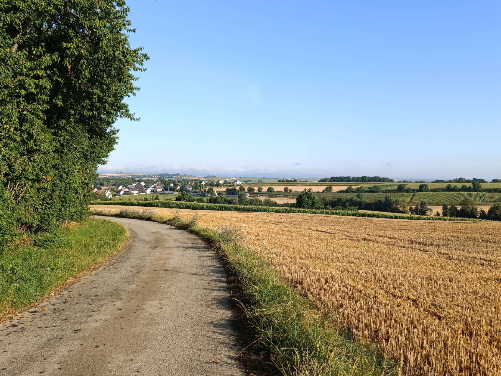 Image par défaut