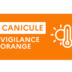 Image par défaut