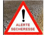 Image par défaut