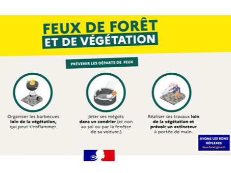 Image par défaut