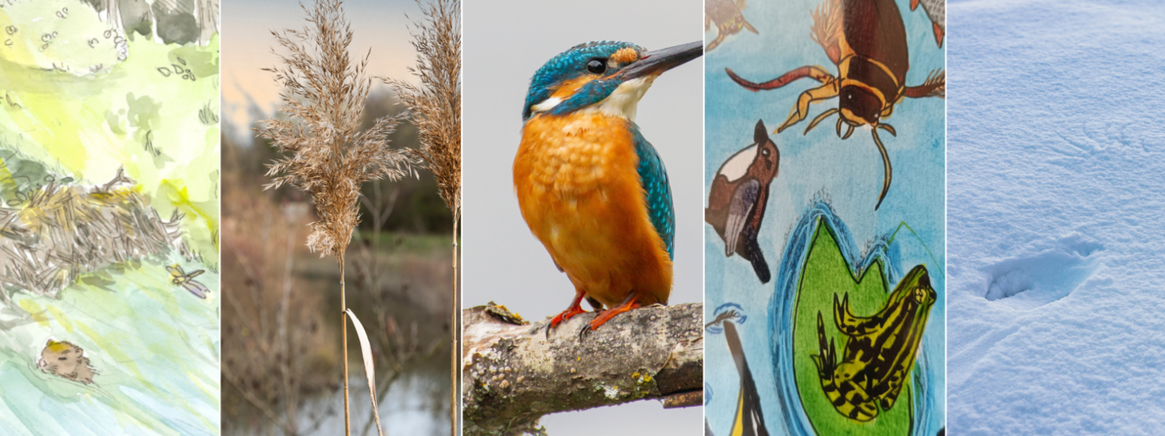 L'exposition photo de l'Epage