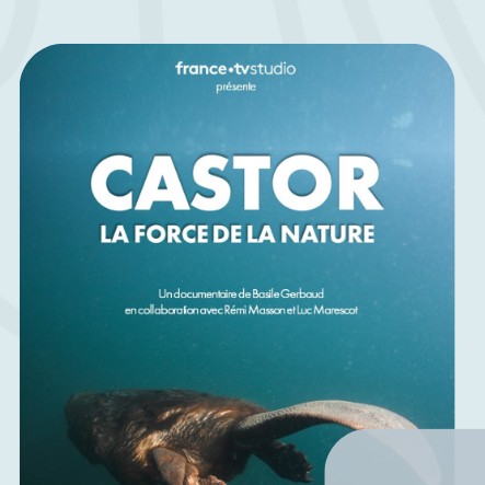 Image par défaut