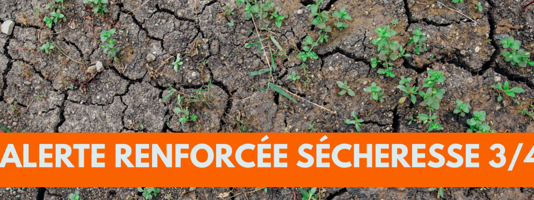 Le département de l’Isère placé en vigilance sécheresse 3/4