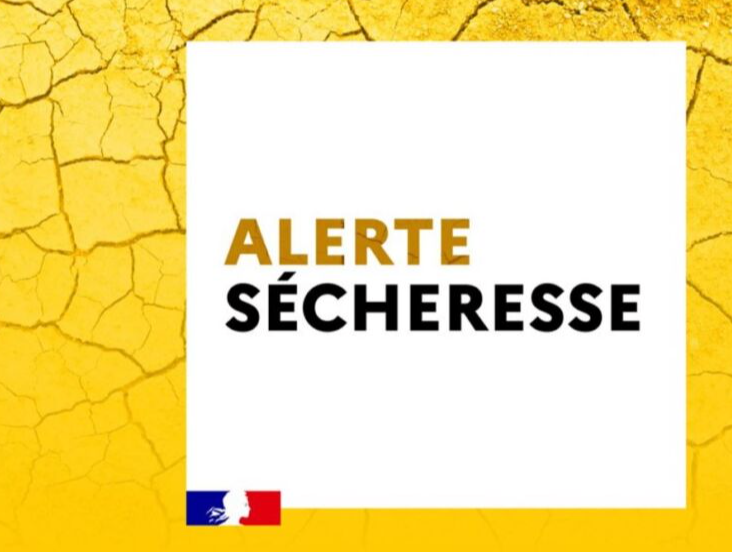 Image par défaut