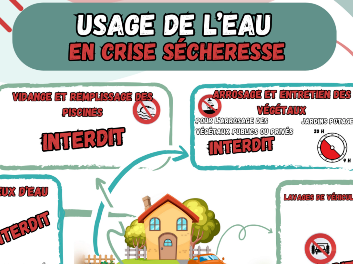 Image par défaut