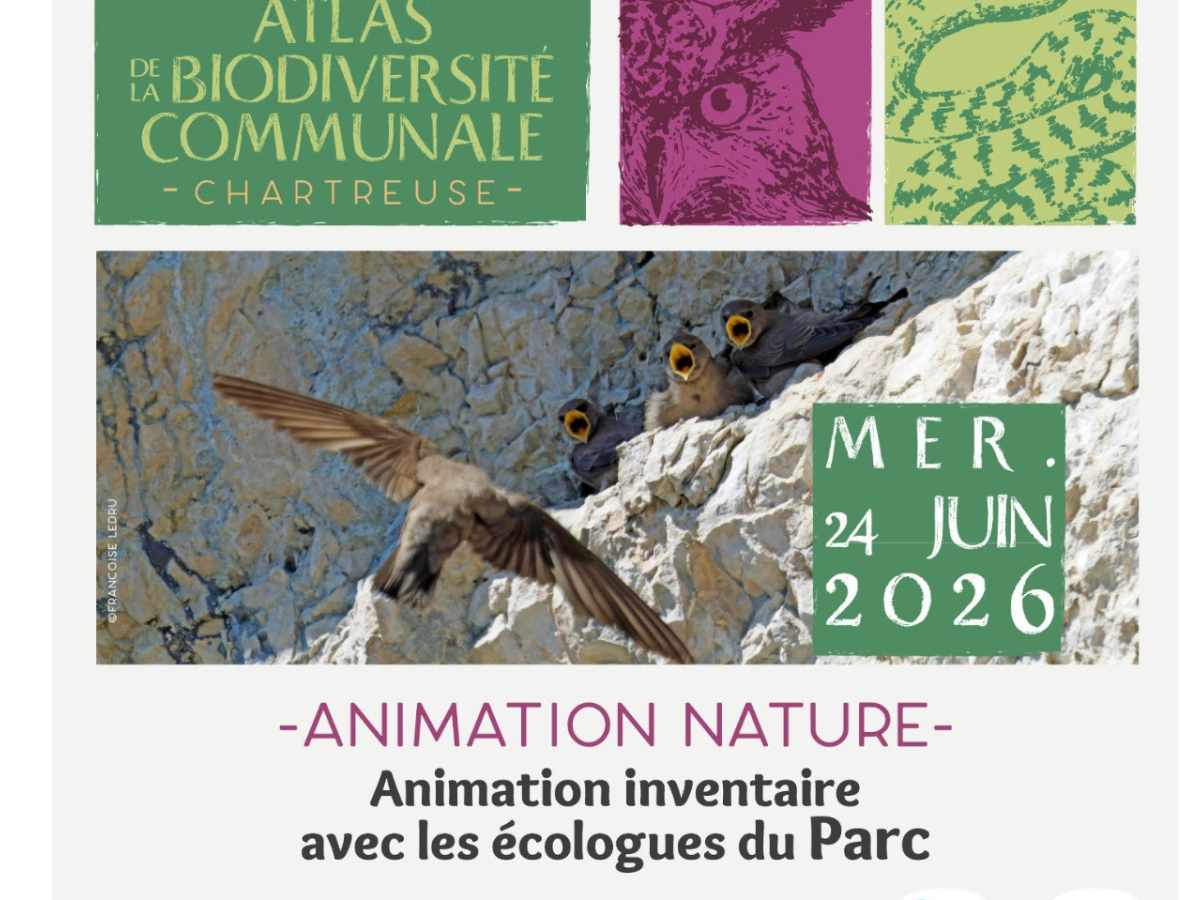 Image par défaut