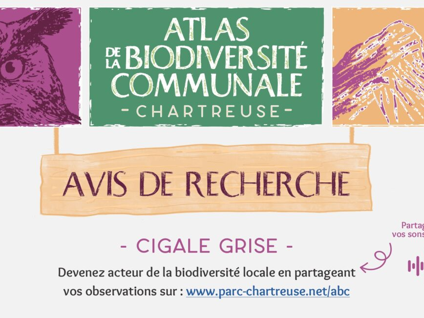 Image par défaut