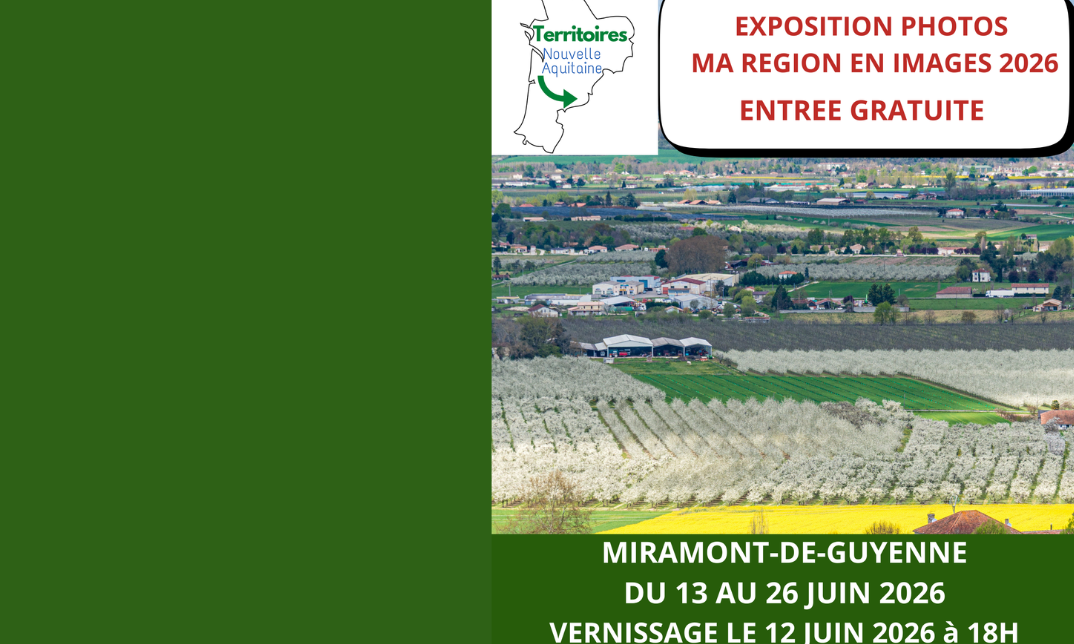 Exposition