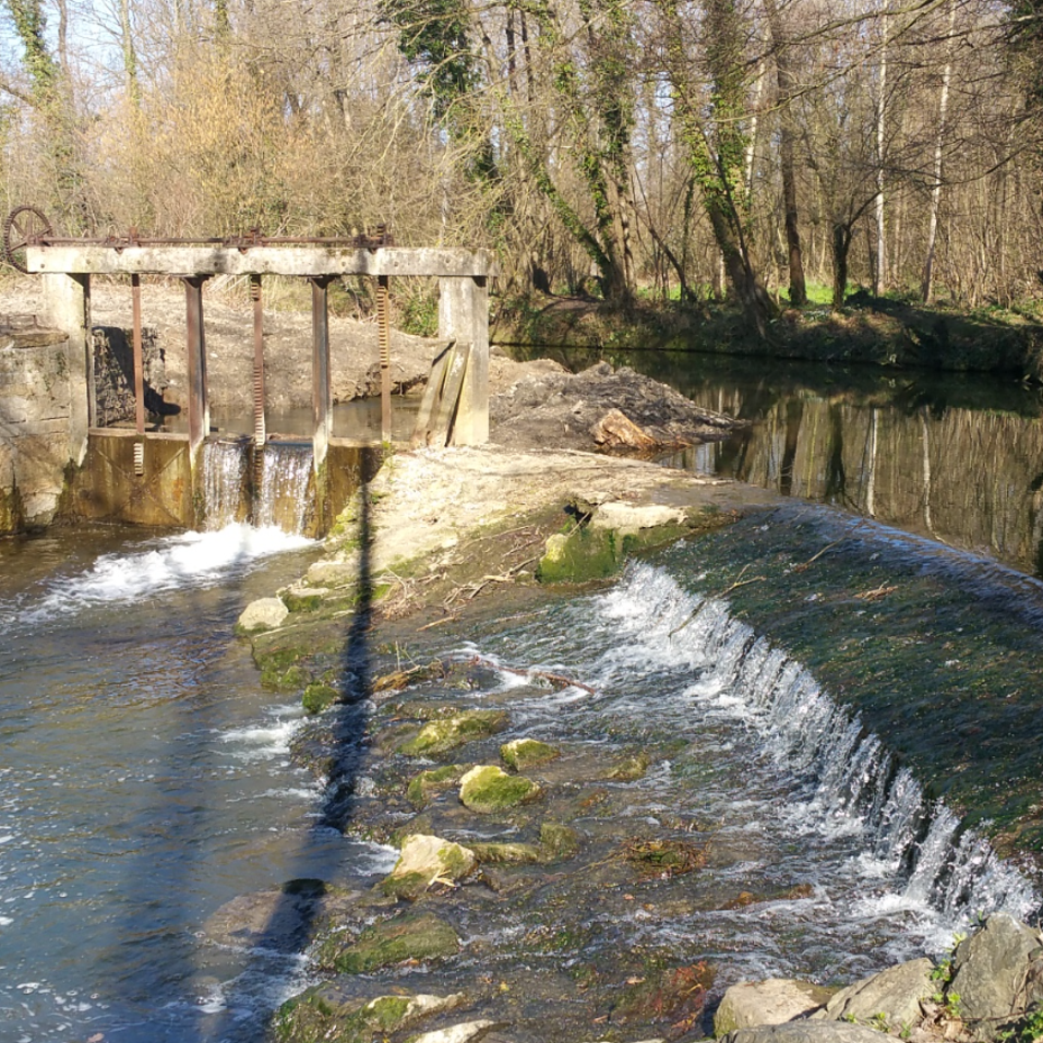 Image par défaut