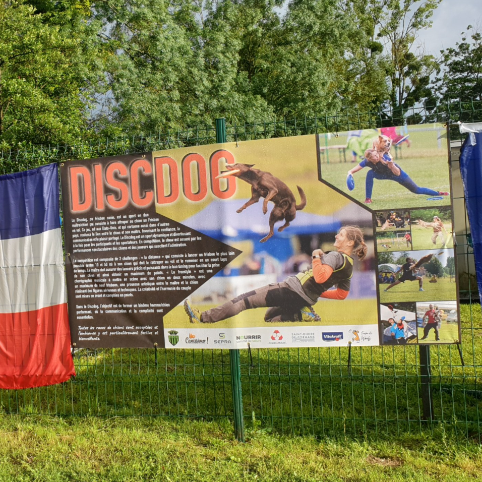 Image par défaut