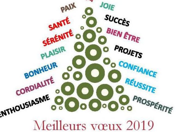 Vœux du Maire 2019.jpg