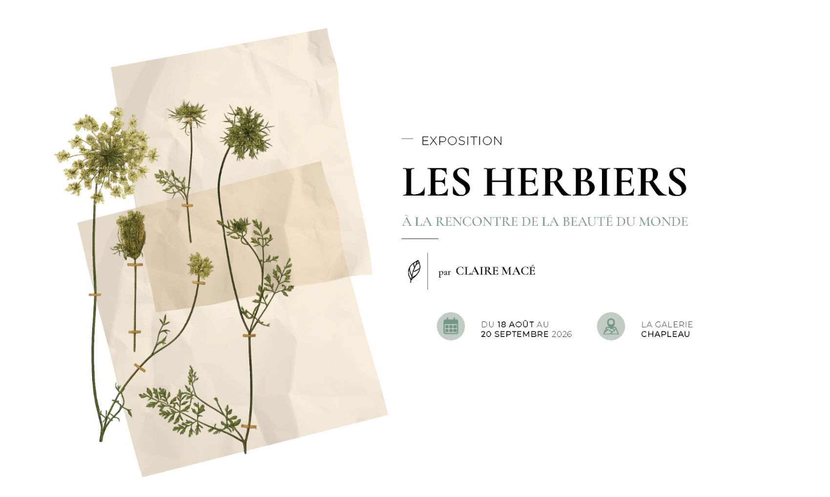 Expo Herbiers