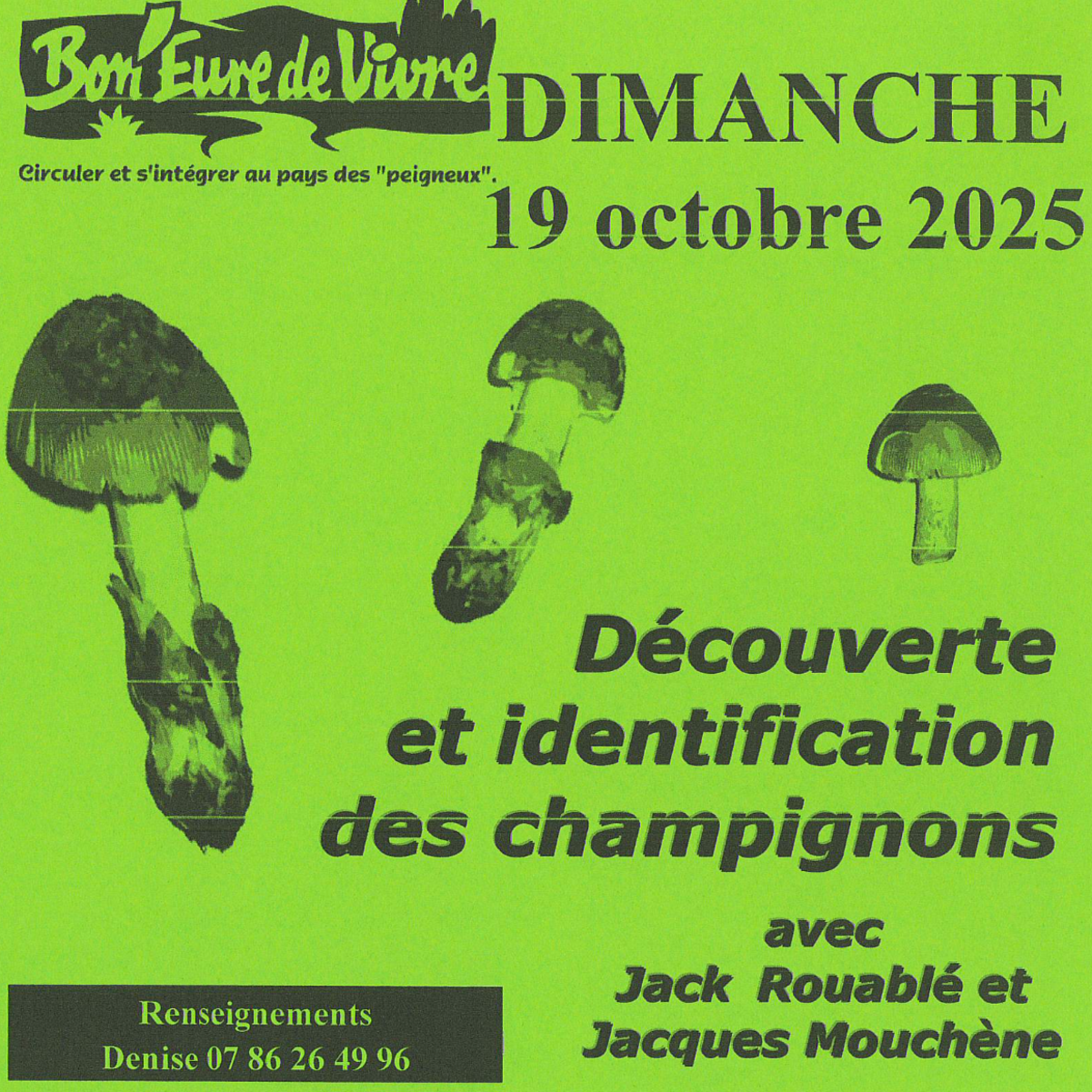 Image par défaut