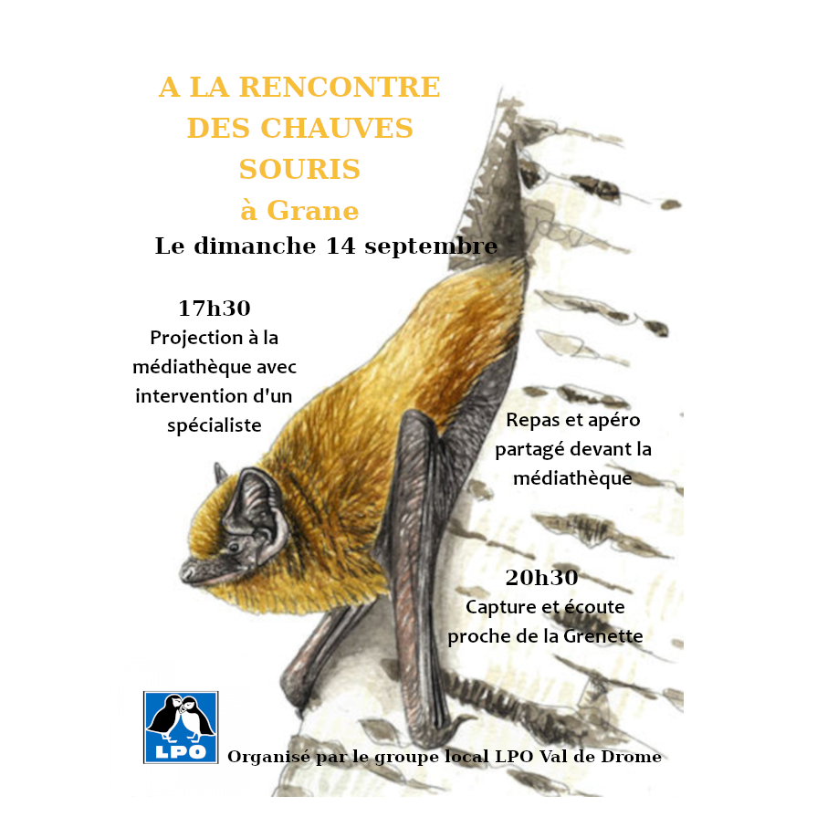 Image par défaut