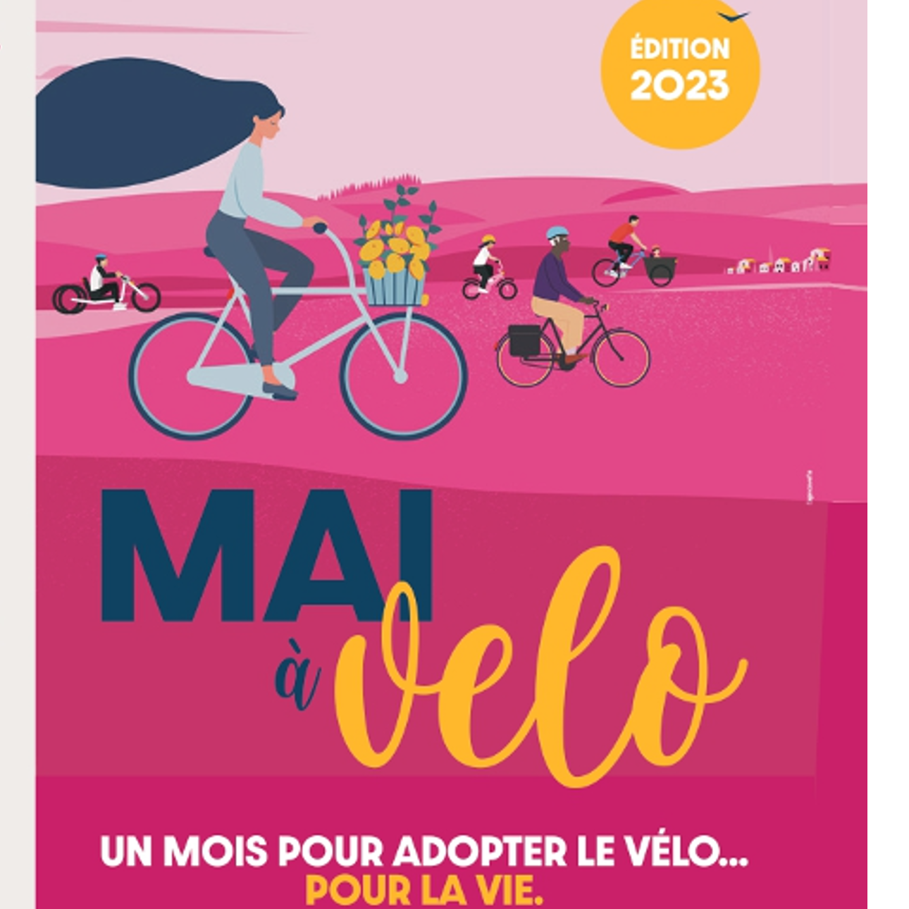 Image par défaut
