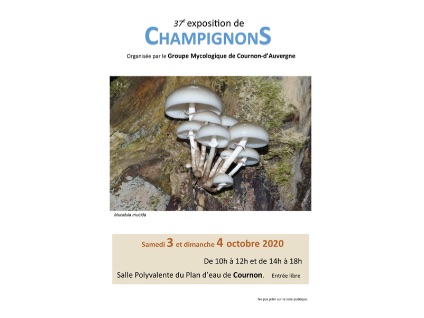 affiche expo 2020 3.jpg