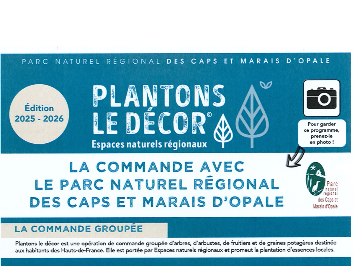 Image par défaut