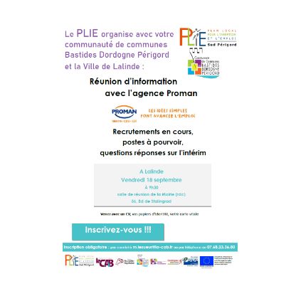 Proman intérim.PNG
