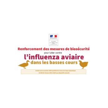 influenza aviaire 1.PNG