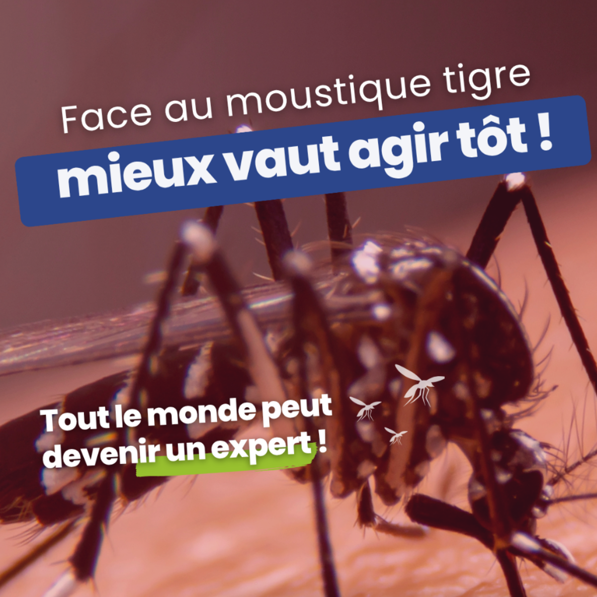 Image par défaut