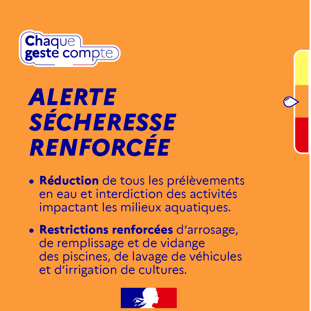 Image par défaut