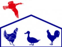 Image par défaut