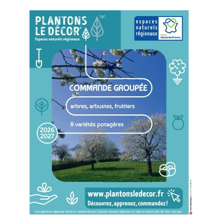 Plantons le décor.jpg