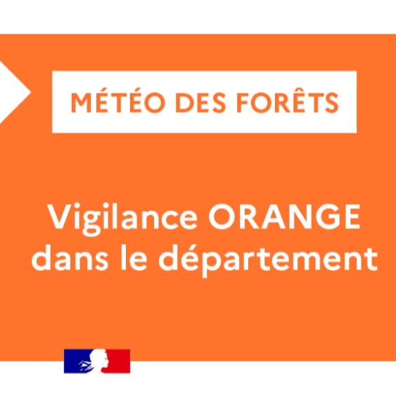 Image par défaut