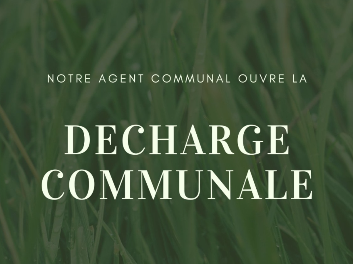 Image par défaut