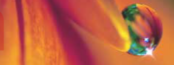 Découvrez la nouvelle programmation culturelle