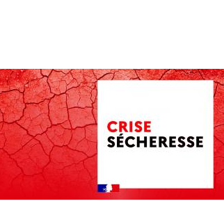 Image par défaut