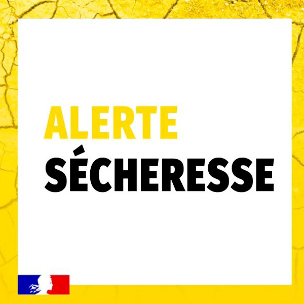 Image par défaut