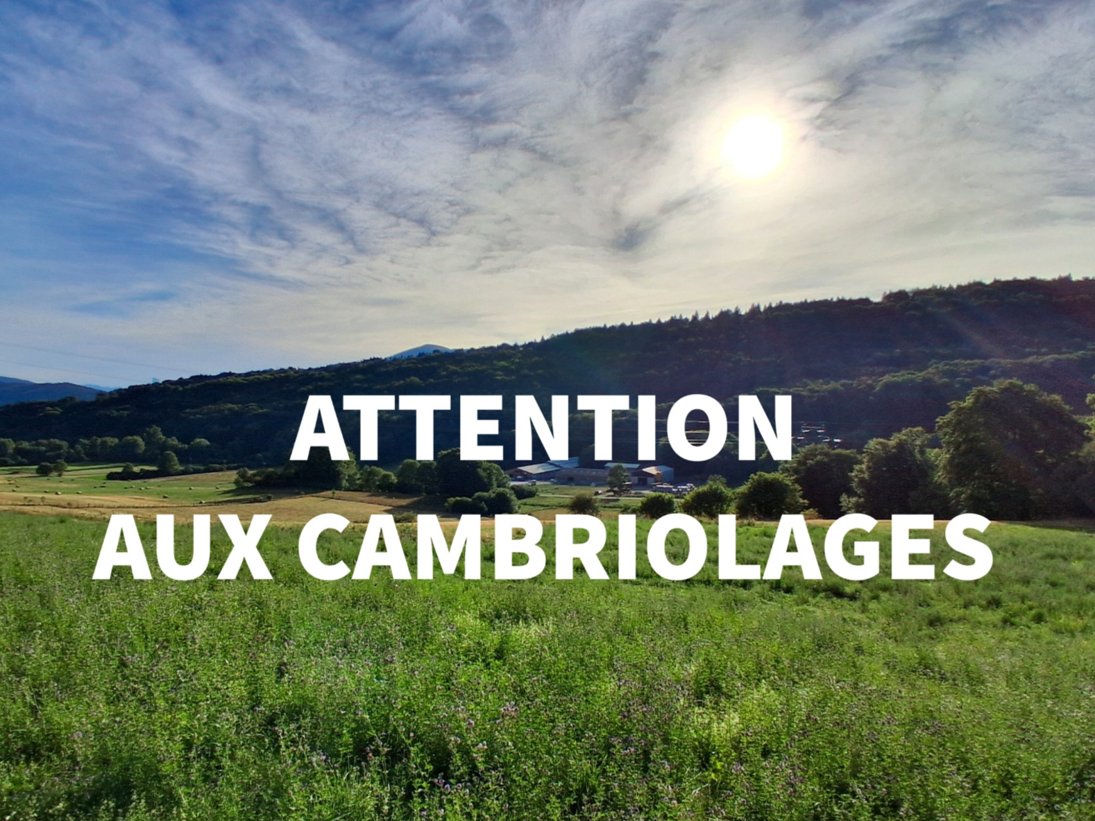 Image par défaut
