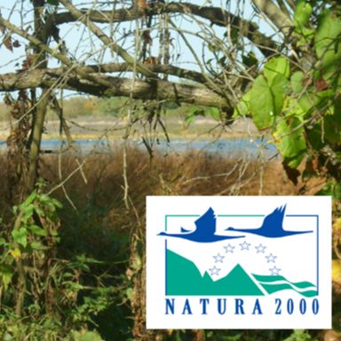 Marais - Natura 2000