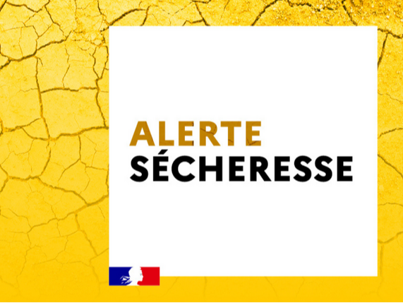 Image par défaut