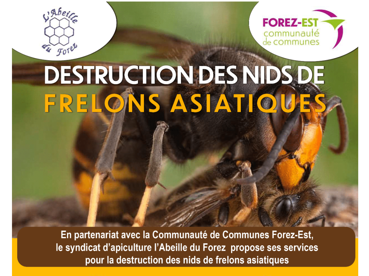 Image par défaut