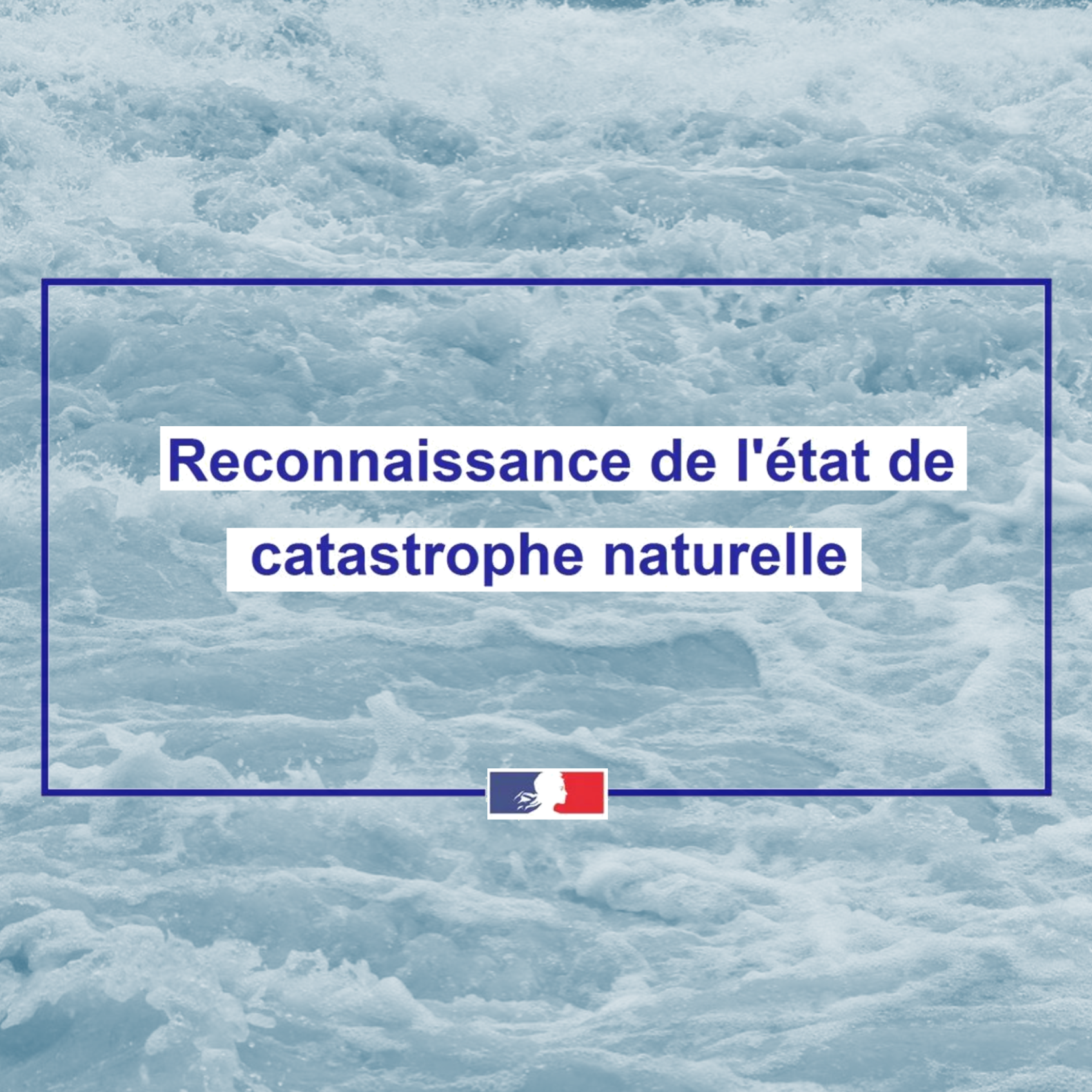 Image par défaut