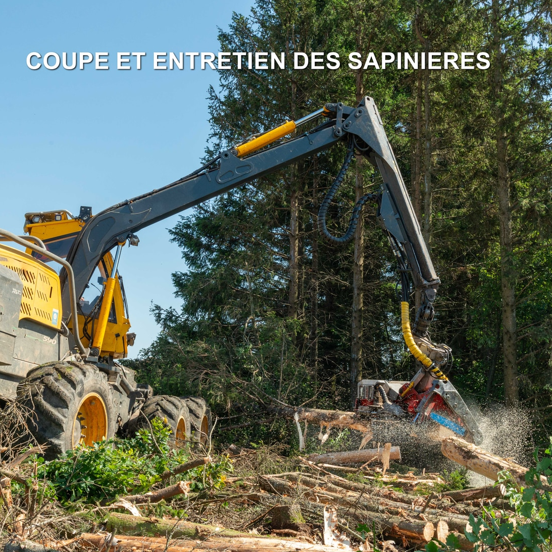 Image par défaut