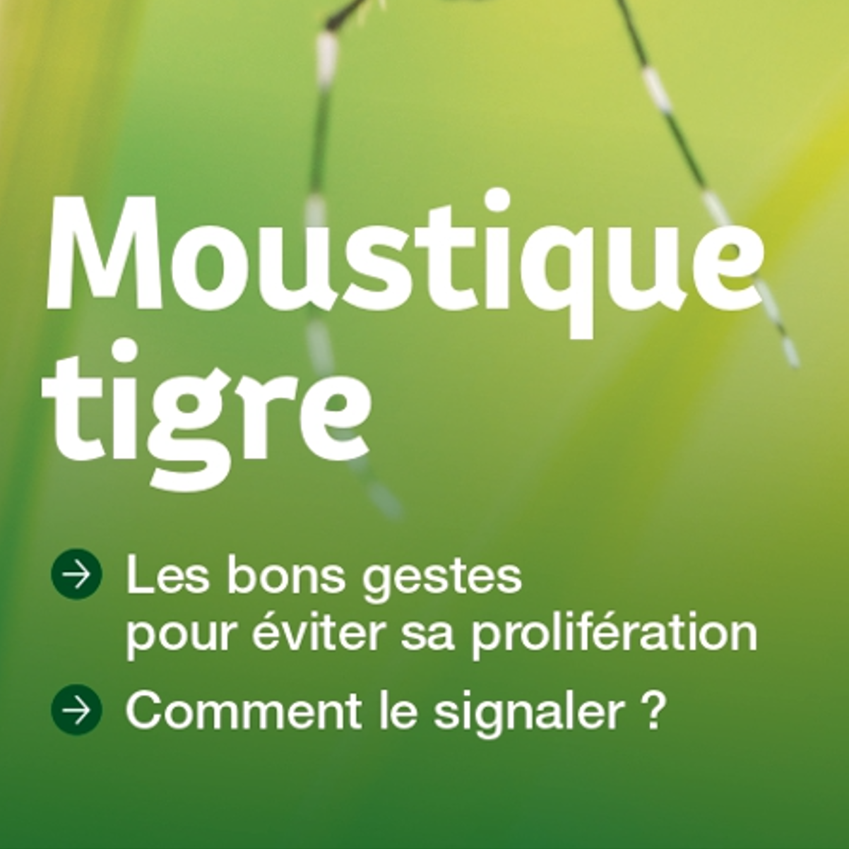 Image par défaut