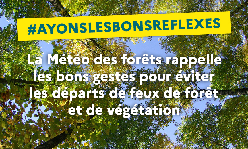 Prévention des feux de forêt et de végetation