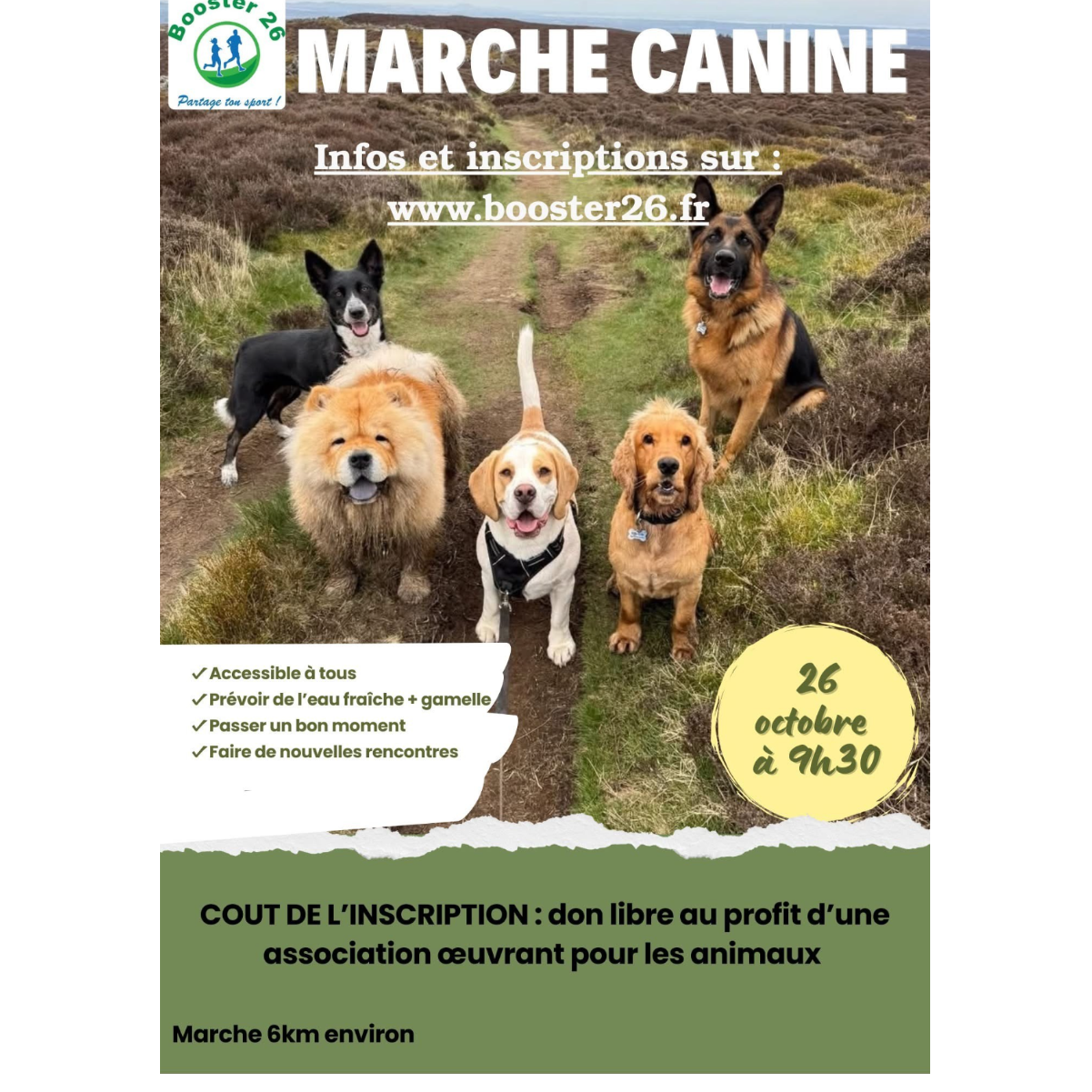 Image par défaut