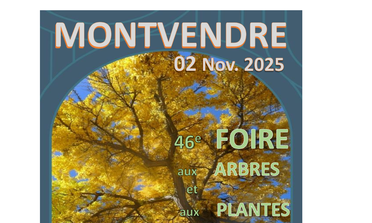 Foire