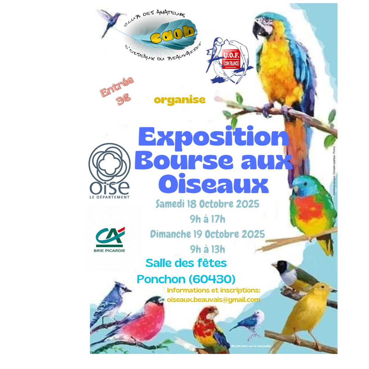 Image par défaut