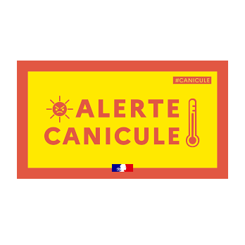 Image par défaut