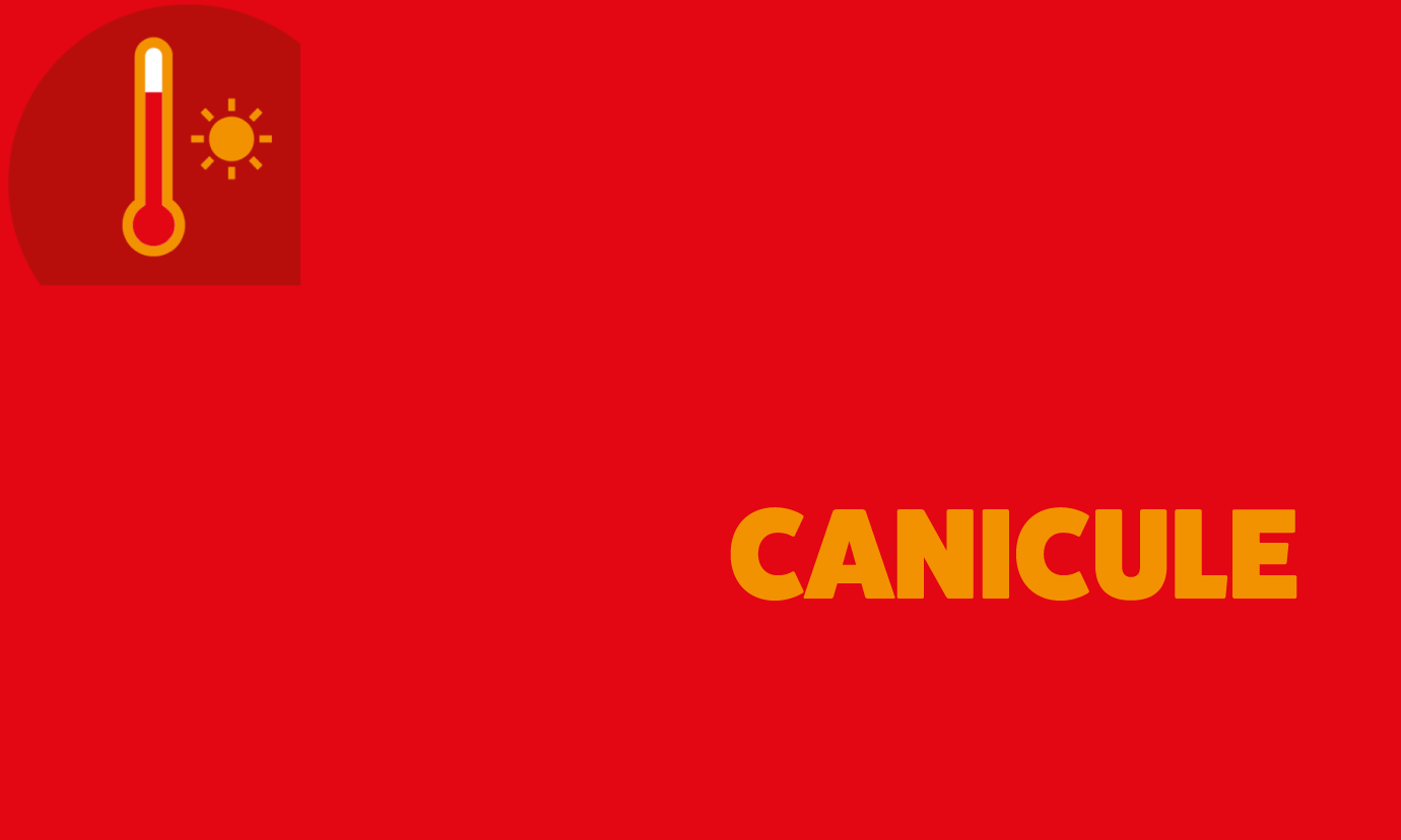 ADAPTATIONS D’URGENCE FACE À LA CANICULE