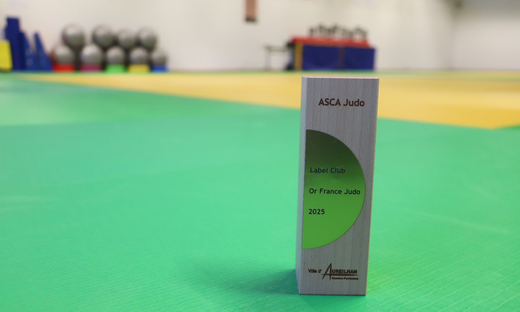 ASCA JUDO : REMISE DU LABEL CLUB OR FRANCE JUDO