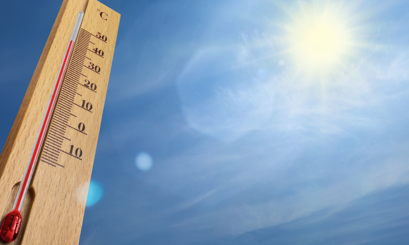 ALERTE CANICULE