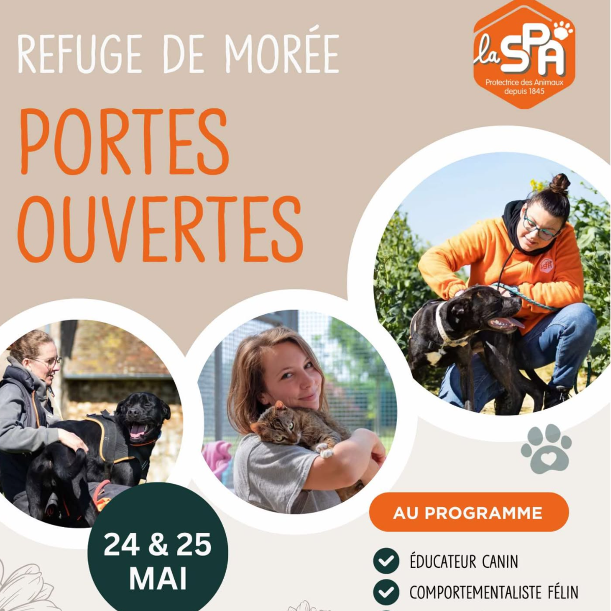 Image par défaut