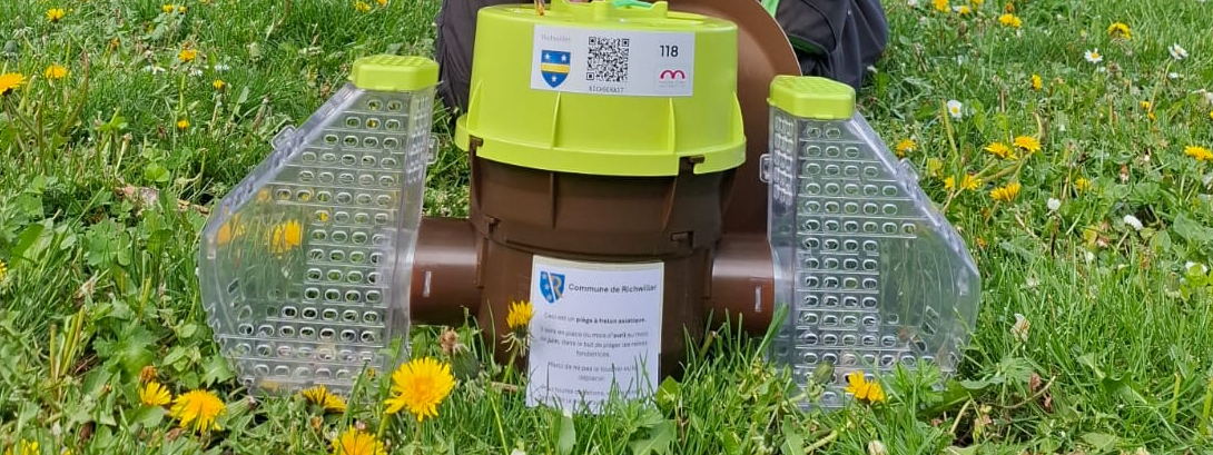 Installation des derniers pièges sur la commune