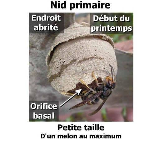 Image par défaut